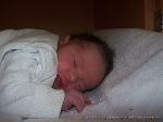 Anna - Lena