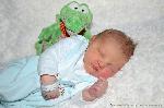 Julian
