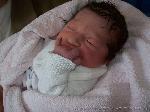 Lilly Loreen