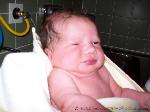 Carolin