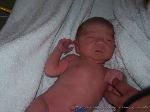 Luca Julian