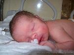 Gracia Lucia