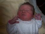 Nele Marie