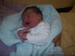 Hanna