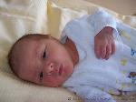 Enrico