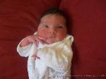 Lilly Anna