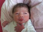 Alessia