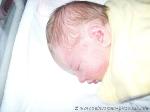 Louis