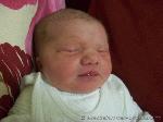 Ronja Anneliese