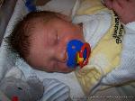 Nils