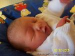 Johanna Caroline Emilie