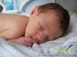 Luca - Filippo
