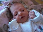 Alisha