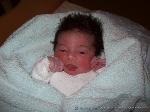 Sophia Emilia