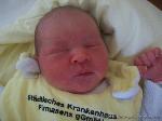 Helena Celine