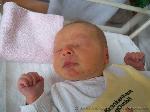 Flynn Vincent