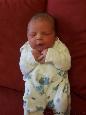 Lucca Finn