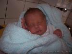 Noah Phil