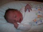 Finn Louis