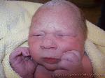 Noah