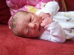 Taylor Maurice