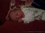 Luise Charlotte