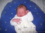 Noah