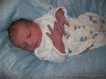 Shawn Alan Malcolm