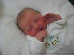 Leonie