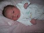 Arwen Cheyenne