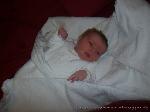Nuhad