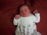 Hannes, Valentin