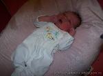 Josephine Katharina