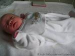 Hanna Marie