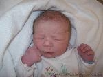 Julian
