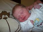 Darleen Alicia