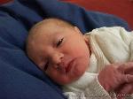 Lennox Marc