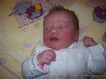 Emelie-Sophie