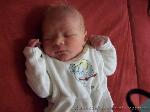 Lennox