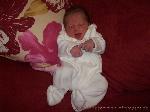 Noah