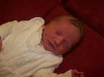 Luca Noah