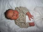 Luca, Nevio