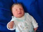 Finn Emanuel