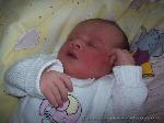 Catherina