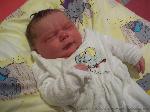Ivy Felice