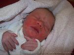 Charlene Savannah