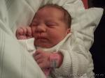 Lee - Ann Emely