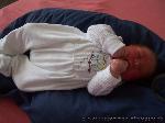 Nico Jason