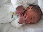 Elijah Samuel