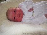Luca Maurice